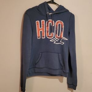 Hollister Sweater